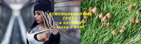герыч Алзамай
