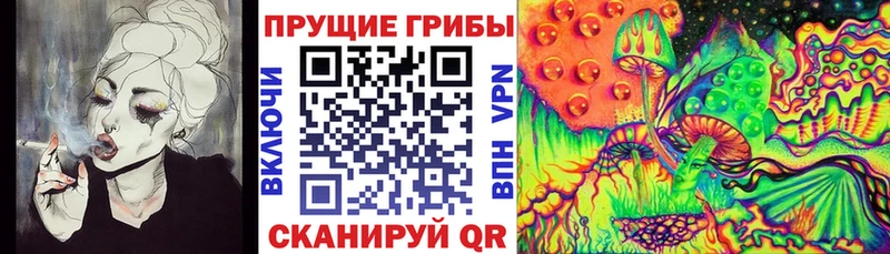 цены наркотик  Благодарный  Галлюциногенные грибы Psilocybine cubensis 